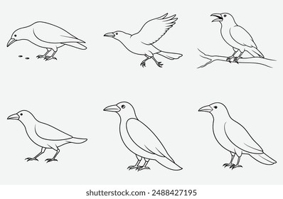 Majestic Crow Line Art Vector Set, Intricate and Detailed Designs