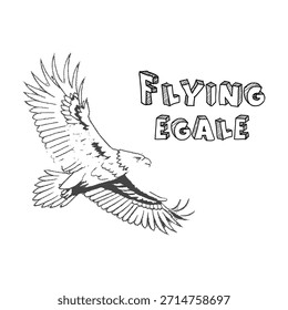 Águila majestuosa en vuelo, volando con las alas extendidas, un símbolo de libertad y poder