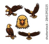 Majestic Eagle Poses and Head Vector Logo Pack