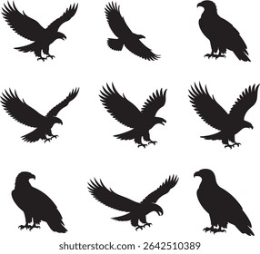 Majestic Eagle Silhouette Vector Collection