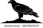 Majestic Eagle Silhouette Vector – Flying Bird of Prey Black Isolated Illustration