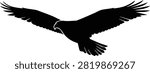 Majestic Eagle Silhouette Vector – Flying Bird of Prey Black Isolated Illustration