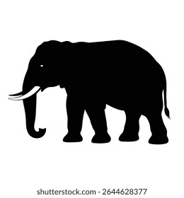 Majestic elephant silhouette african wildlife animal.