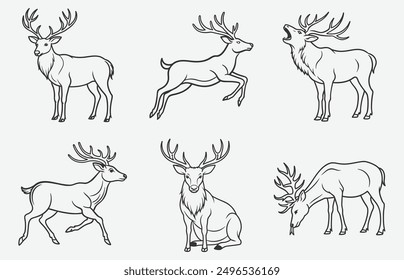 Majestic Elk Line Art Collection