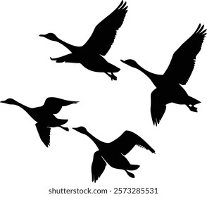 Majestic Geese in Flight Silhouettes Design
