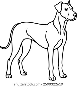 Majestic great Dane outline elegant dog line art