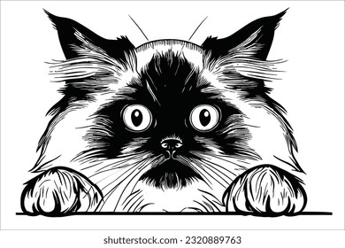 Majestic Himalayan cat curiously peeks, captivating hearts with its adorable charm. This exquisite feline companion embodies grace and tranquility, adding a touch of serenity to your creative projects
