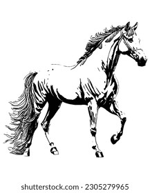 Majestic Horse Line Art Coloring Page Unleash Your Creativity with Exquisite Equine Designs