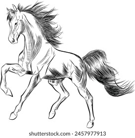 Majestic Horse Sketch
Este dibujo cautivador retrata la elegancia atemporal y la fuerza de un caballo majestuoso en toda su gloria. 