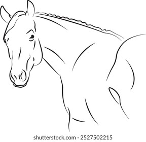 Majestic Horse Vector Art for Creative Projects