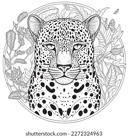 A majestic Leopard illustration in a stylish composition. Adult coloring book pages made freehand with doodle and Zentangle elements., Vector  illustration