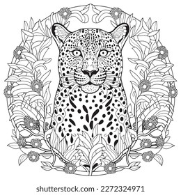 A majestic Leopard illustration in a stylish composition. Adult coloring book pages made freehand with doodle and Zentangle elements., Vector  illustration