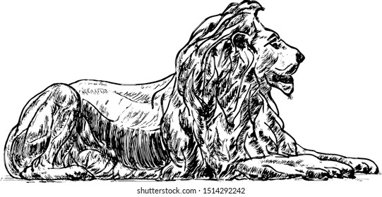 A majestic lion. Hand drawn vector illustration. 