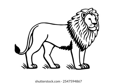 A Majestic Lion Vector Illustration