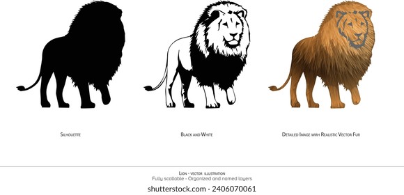 Majestic Lion Vector Illustration. Lion Silhouette. Black and white. Lion. detailed vector. realistic animal illustration - organized layers and animation ready vector. Realistic Lion vector drawing 