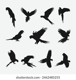 Majestic Macaws, Exquisite Silhouette Set Showcasing the Grace and Beauty of Parrot Birds