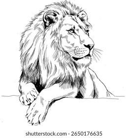 Majestic male lion in tall grass,dramatic and powerful scene, suitable for wildlife blogs, safari advertisements, or nature magazines.