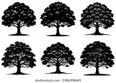 Majestic Oak Tree Silhouettes Collection