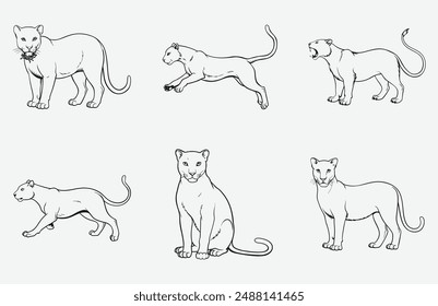 Majestic Panther Line Art Vector Collection, Graceful Wildlife Illustrations