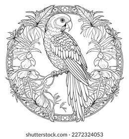 A majestic Parrot illustration in a stylish composition. Adult coloring book pages made freehand with doodle and Zentangle elements., Vector  illustration