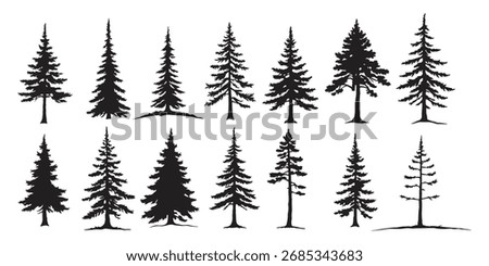 Majestic Pine Tree Silhouettes Set, Natural Forest Evergreens in Black Vector Style