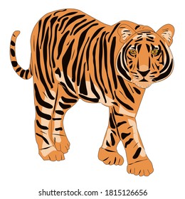 The majestic predator of the jungle