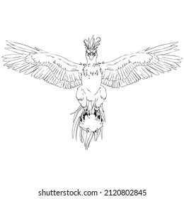 majestic red and yellow feathered phoenix carrying a stone lineart