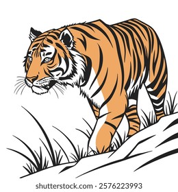 Majestic Sumatran Tiger on a Clean White Background in Stunning High Detail