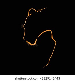 Majestic Tiger Silhouette: A Captivating Shadow in the Dark