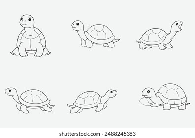 Majestic Tortoise Line Art Vector Collection on white background