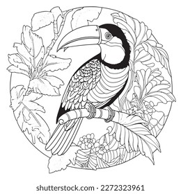 A majestic Toucan illustration in a stylish composition. Adult coloring book pages made freehand with doodle and Zentangle elements., Vector  illustration