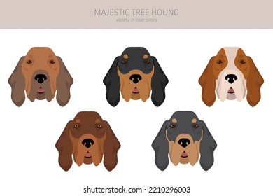 Majestic tree hound clipart. All coat colors set.  All dog breeds characteristics infographic. Vector illustration