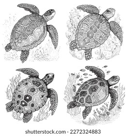 A majestic Turtle illustration in a stylish composition. Adult coloring book pages made freehand with doodle and Zentangle elements., Vector  illustration
