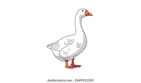 Um ganso branco majestoso se posiciona orgulhosamente contra um fundo branco limpo exibindo sua elegância