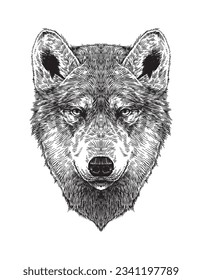 Majestic Wolf Head, hand drawn illustration vector