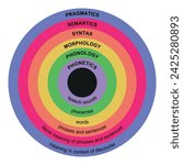 Major levels of linguistic structure Linguistics defines the level of structure based on analysis across and within languages, vector illustration for education school  concept web french arab learn