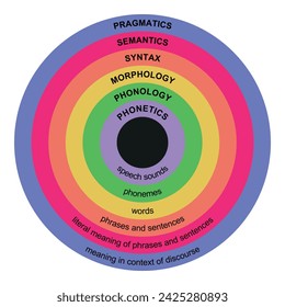 Major levels of linguistic structure Linguistics defines the level of structure based on analysis across and within languages, vector illustration for education school  concept web french arab learn