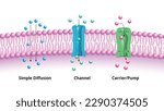 Major Mechanisms by which Molecules Cross the Cell Membrane, Simple Diffusion, Channel, and Pump or Carrier - Medical Vector Illustration