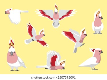 Major Mitchell's Cockatoo Bird Pink Parrot Various Poses Vector Illustration