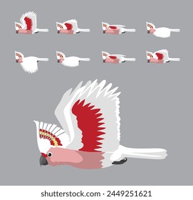 Major Mitchell's Cockatoo Flying Animation Sequence Cartoon Vector