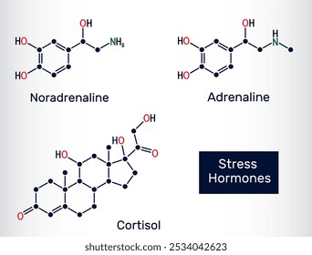 Principais moléculas de hormônios do estresse. Adrenalina (epinefrina), noradrenalina (noradrenalina), estruturas químicas de cortisol. Ilustração vetorial