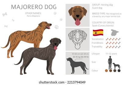 Clíparte de perro de Majorero. La raza de perro tiene características infográficas. Ilustración del vector