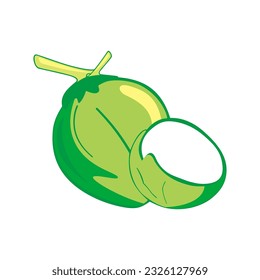 Make a Professional Coconut Vector