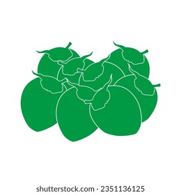 Make a Professional Coconut Vector Art and Illustration