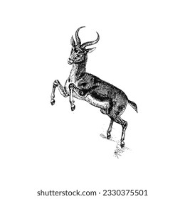 Make a Professional Deer Abstract Art