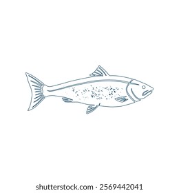Make a Professional Fish Vector Art And Graphics