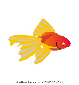 Make a Professional Koi fish Vectors 