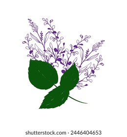 Make a Professional Lavender Flower Line Art