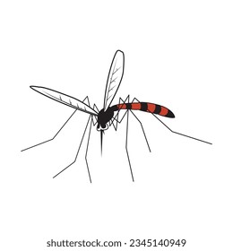 Hacer un vector profesional de mosquitos e ilustraciones