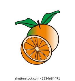 Make a Professional Orange Illustration Vector